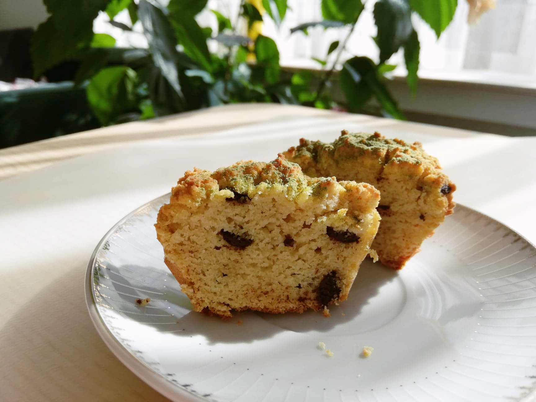 Chocolate chips cake